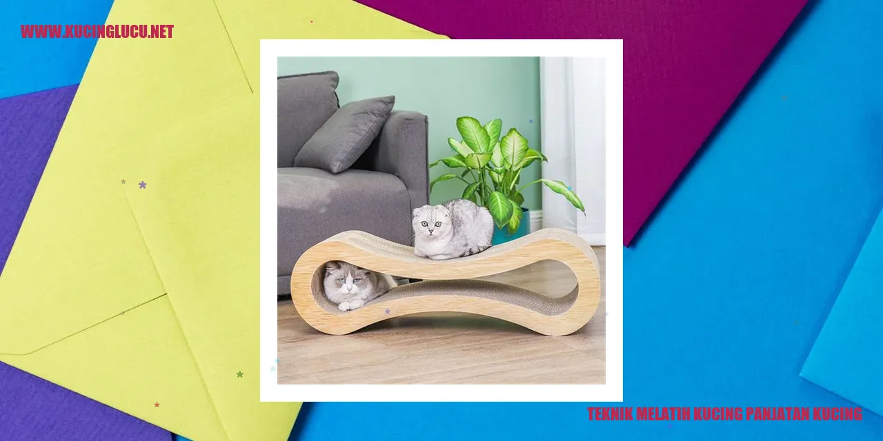 Teknik Melatih Kucing Panjat