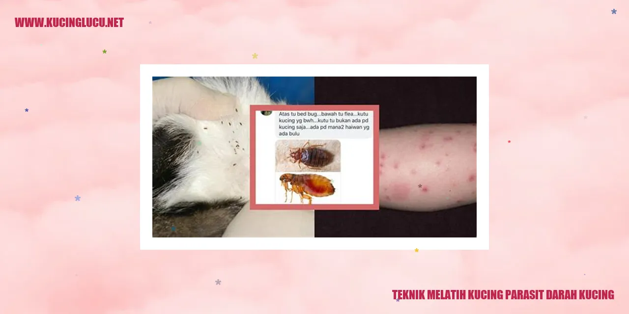 gambar kucing melawan parasit darah