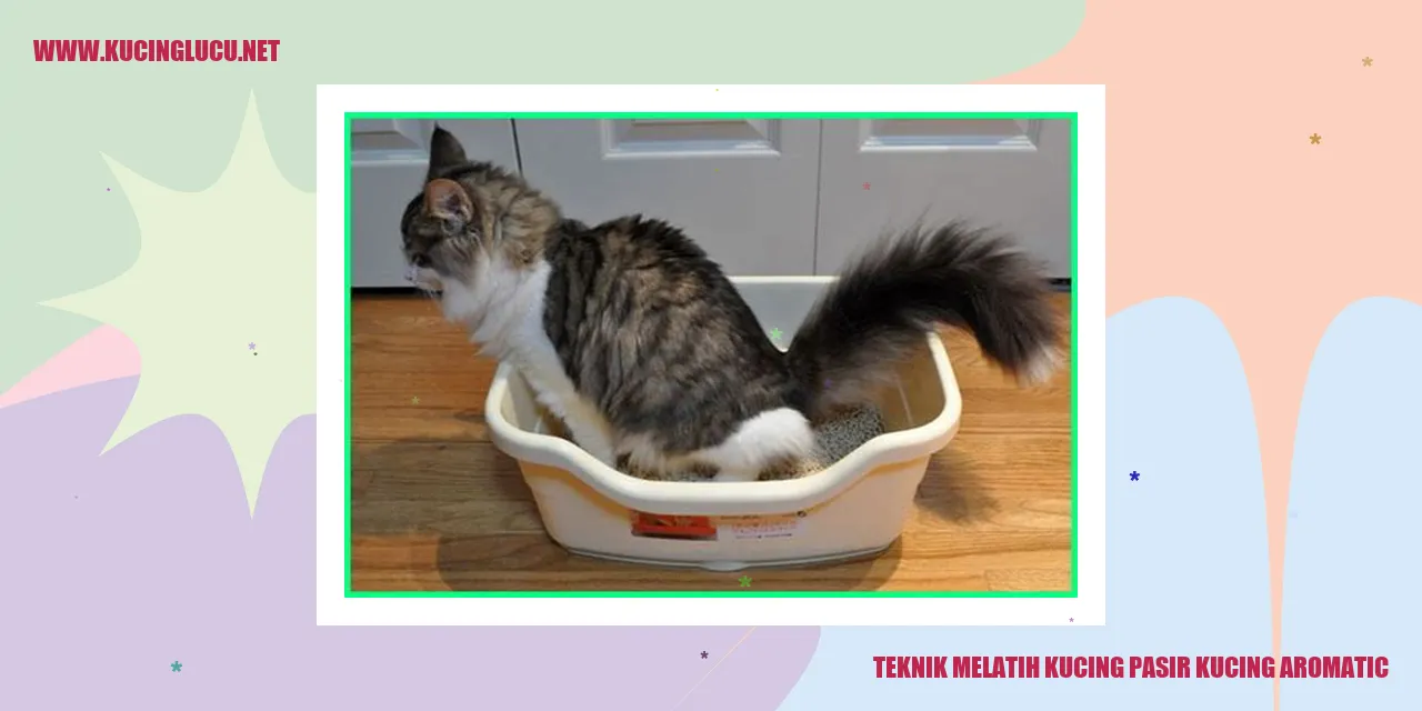 Kucing Pasir Kucing Aromatic
