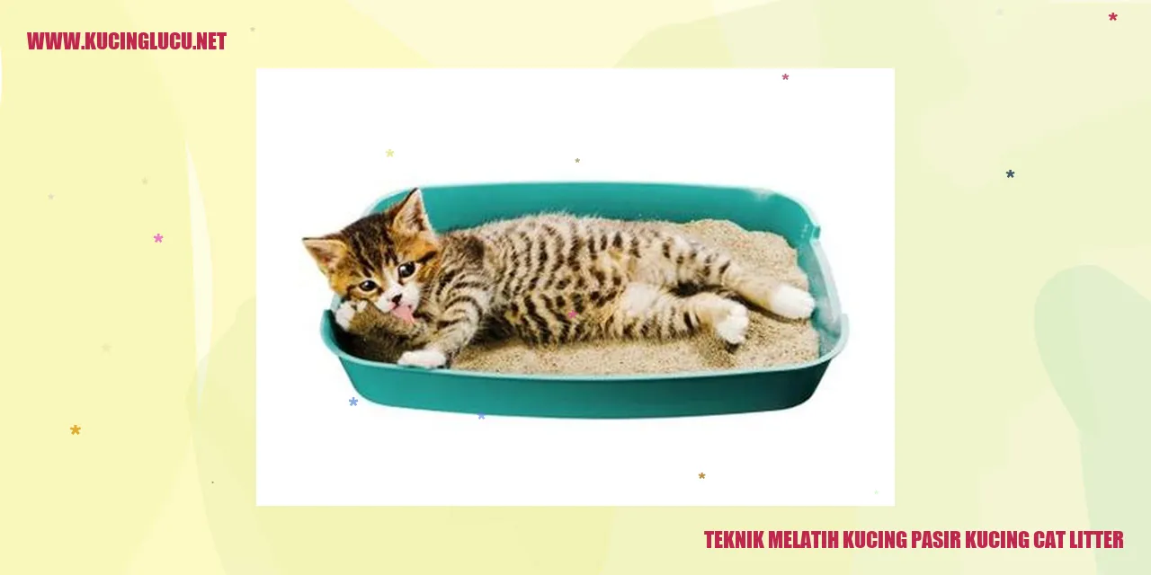 Gambar Kucing Menggunakan Pasir Kucing