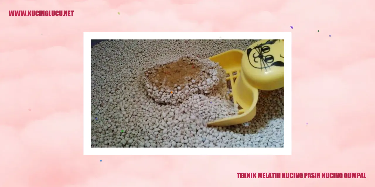 Gambar Kucing Menggunakan Pasir Kucing Gumpal
