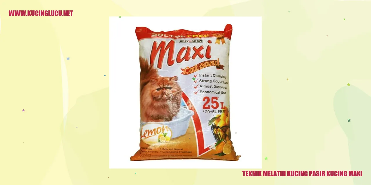 Melatih Kucing Pasir Kucing Maxi