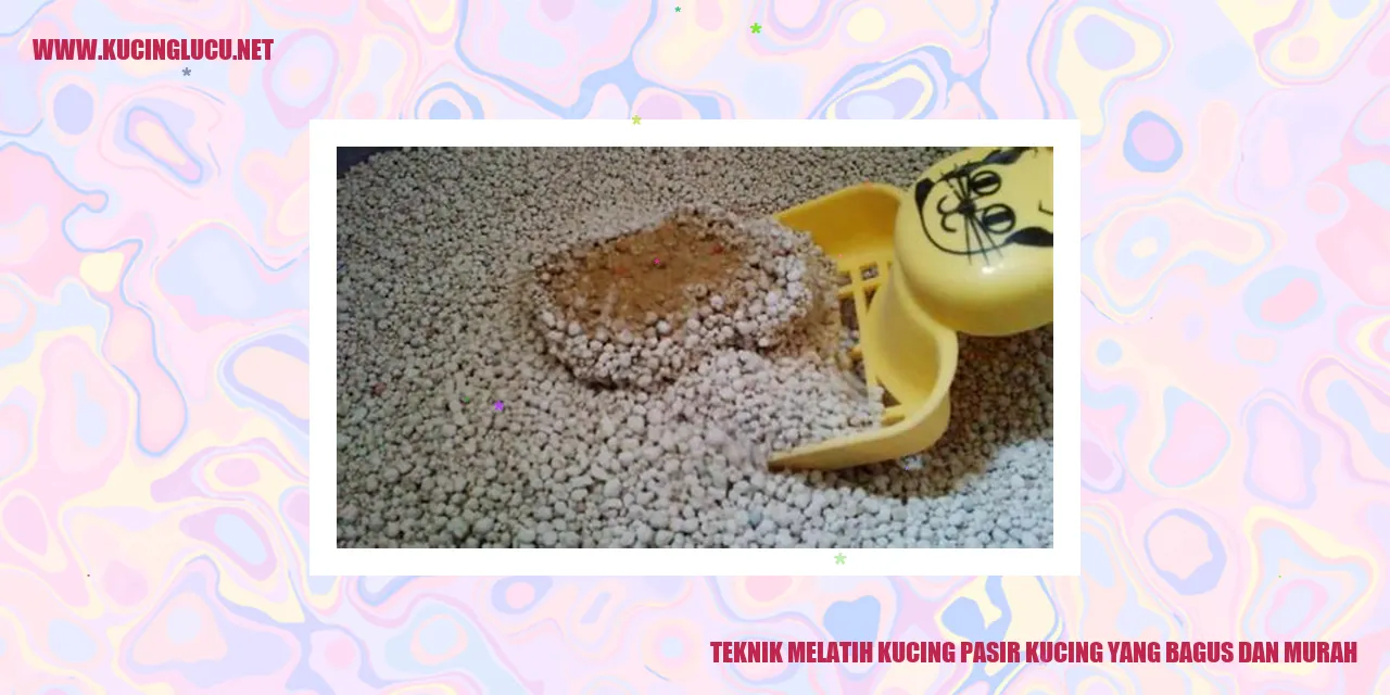 Latih Kucing Anda Menggunakan Pasir Kucing dengan Efektif