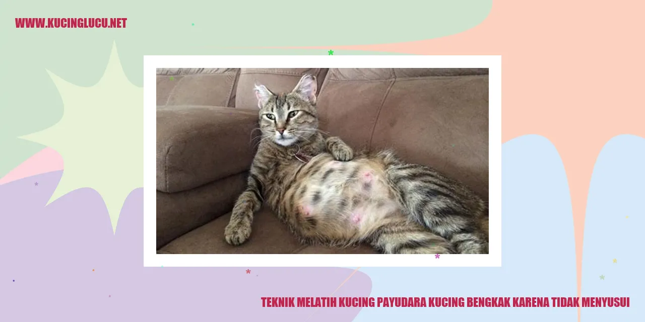 Teknik Melatih Kucing payudara kucing bengkak karena tidak menyusui