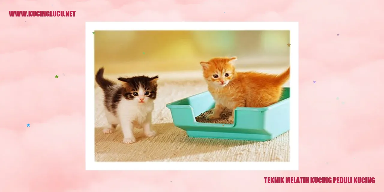 Kucing sedang dilatih