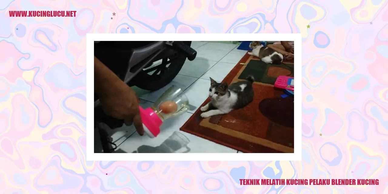 Teknik Melatih Kucing Pelaku Blender Kucing