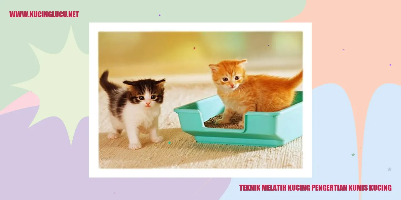 Teknik Melatih Kucing pengertian kumis kucing