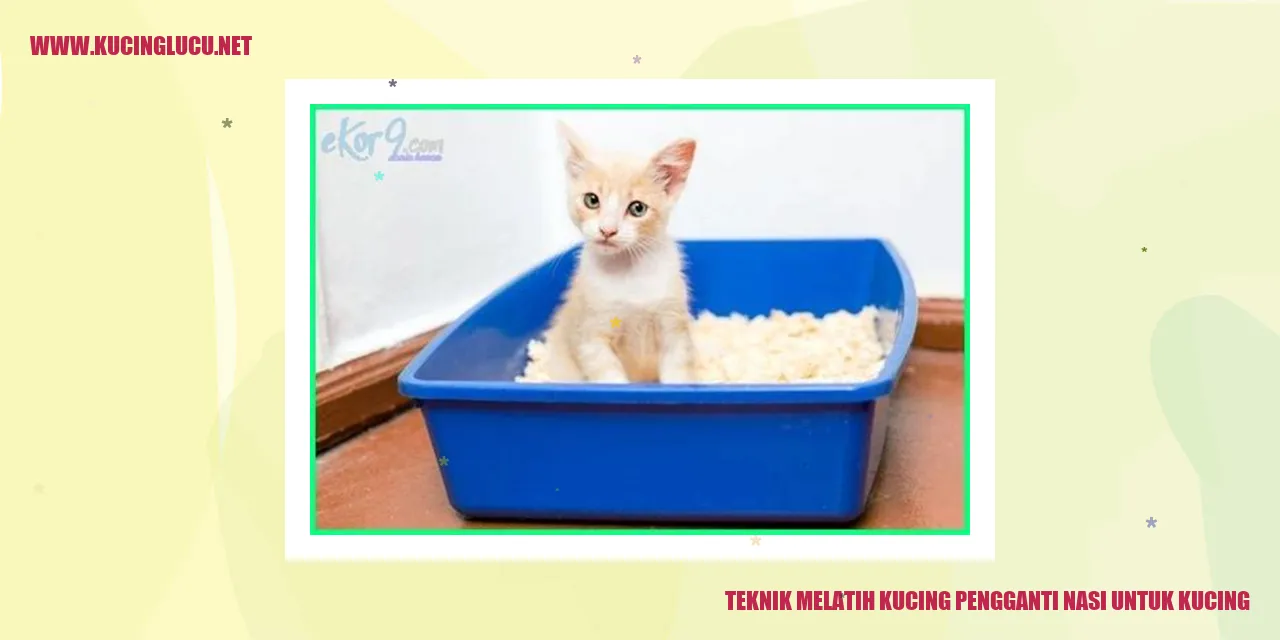 Kucing menikmati makanan pengganti nasi