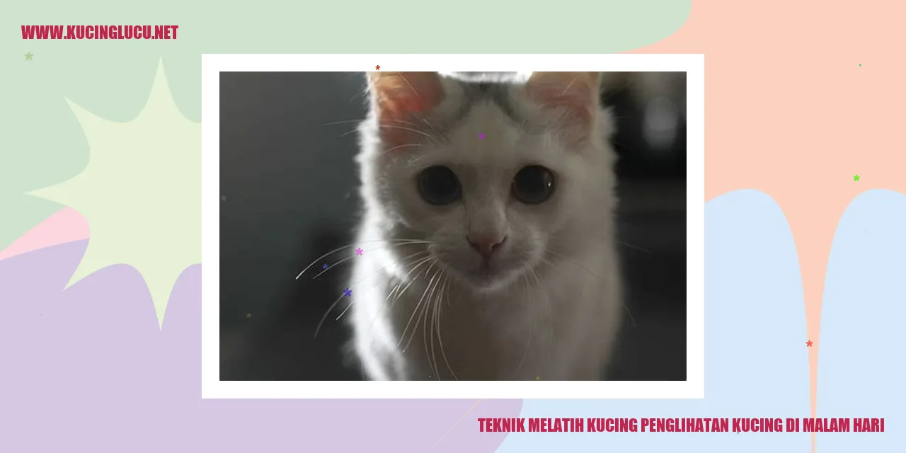 Kucing dengan Penglihatan Malam yang Tajam