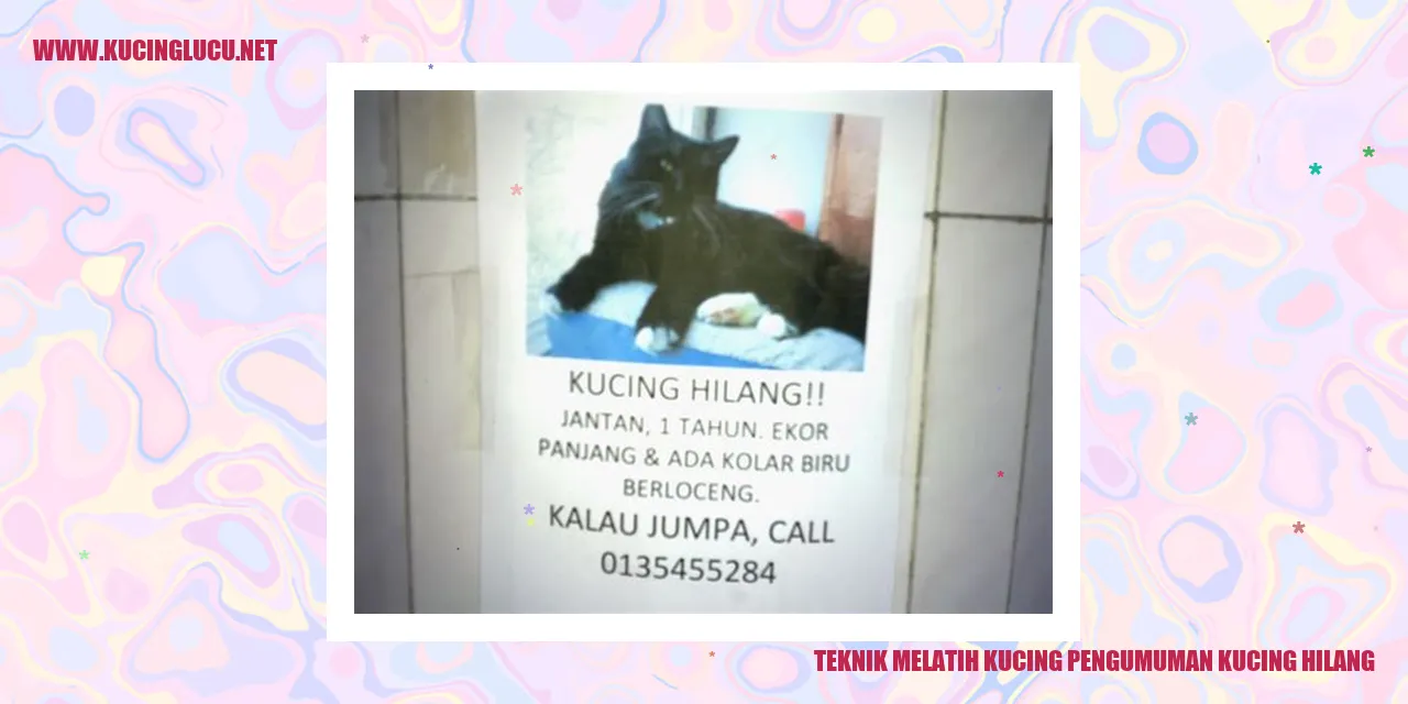 Teknik Melatih Kucing