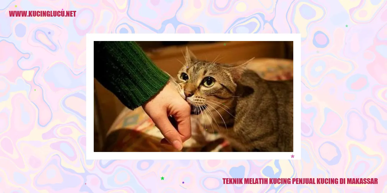 Teknik Melatih Kucing Penjual Kucing di Makassar