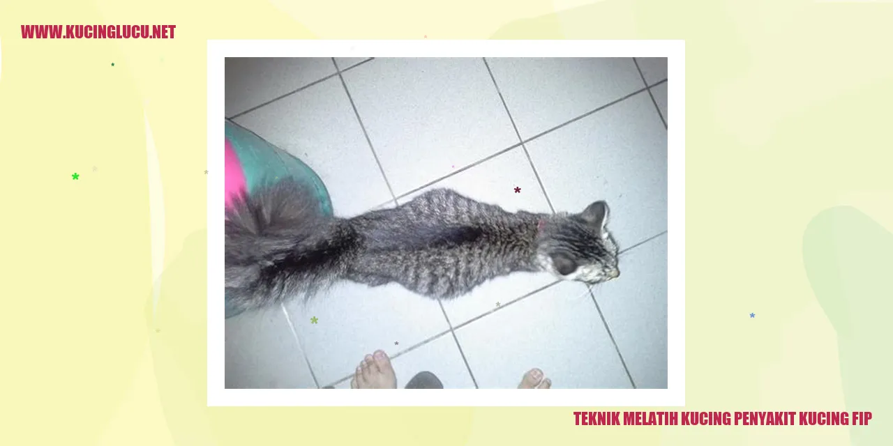 Gambar Kucing