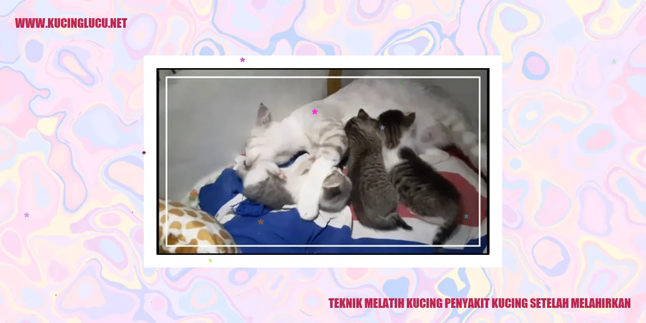 Kucing setelah melahirkan