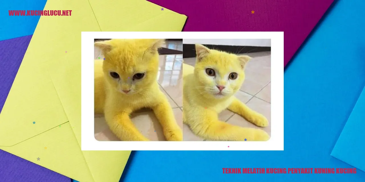 Gambar Kucing yang Mengidap Jaundice