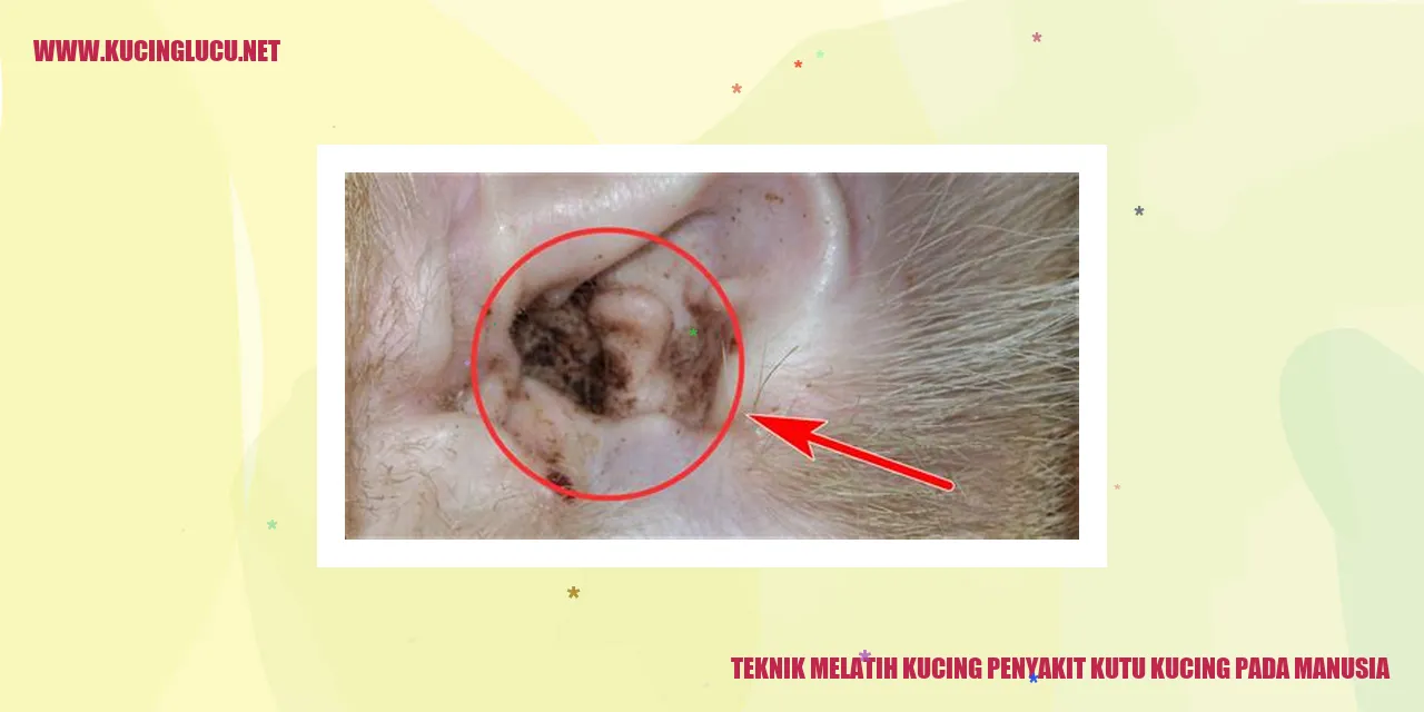 gambar kucing