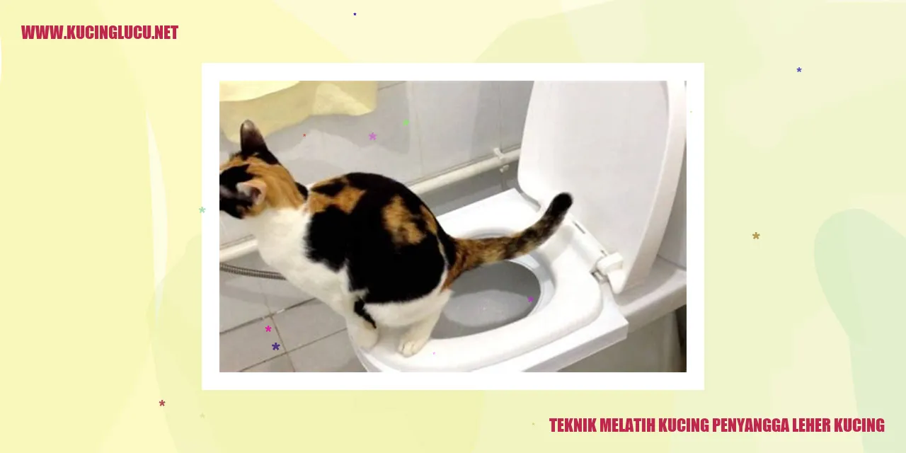 Gambar kucing dengan penyangga leher