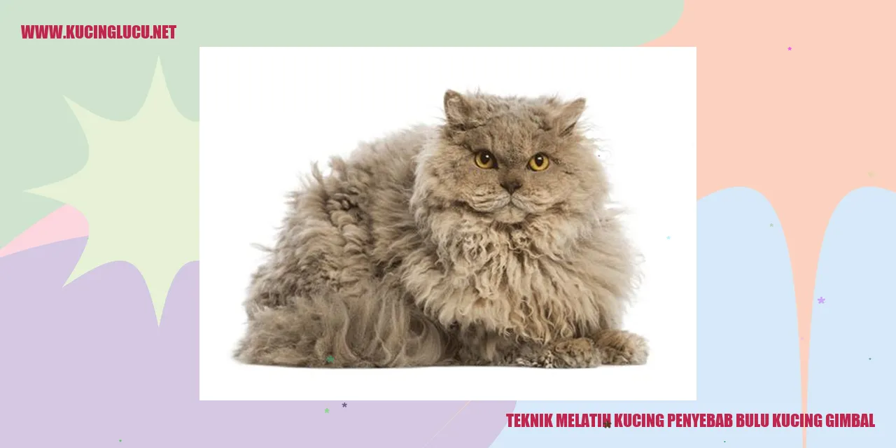 Gambar kucing menggemaskan