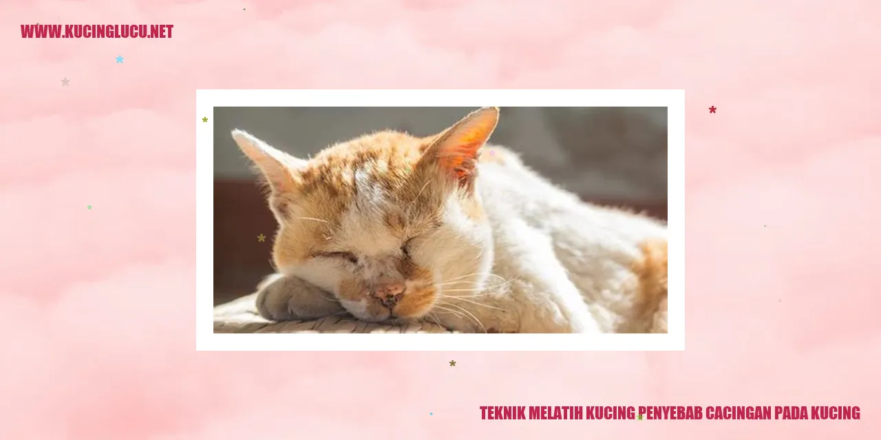 Teknik Melatih Kucing Penyebab Cacingan pada Kucing