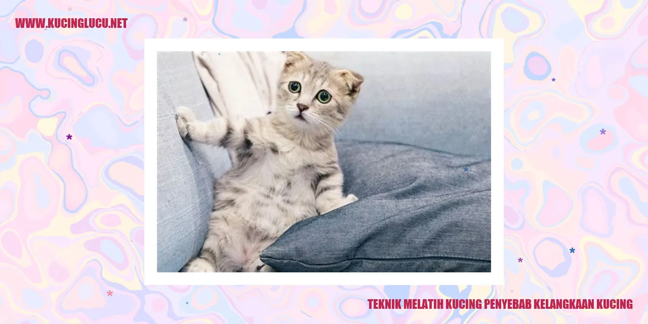 Gambar Kucing