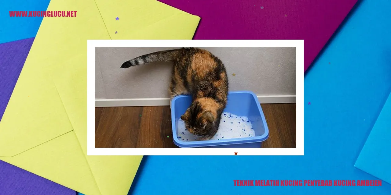 Gambar Kucing