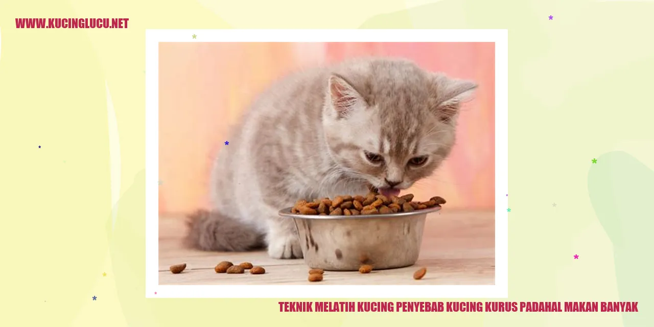 Gambar kucing yang lucu