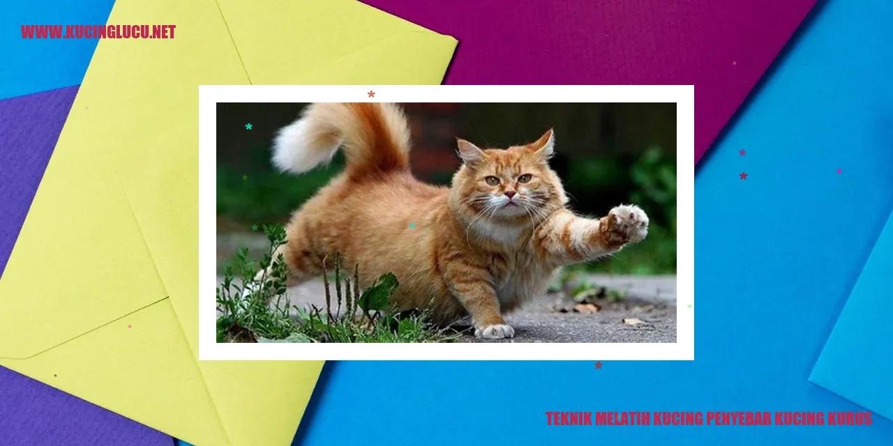 Gambar Kucing Kurus