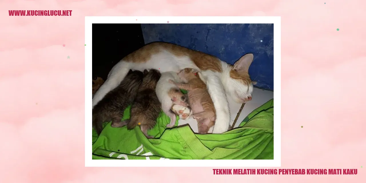 Gambar Kucing Mati Kaku