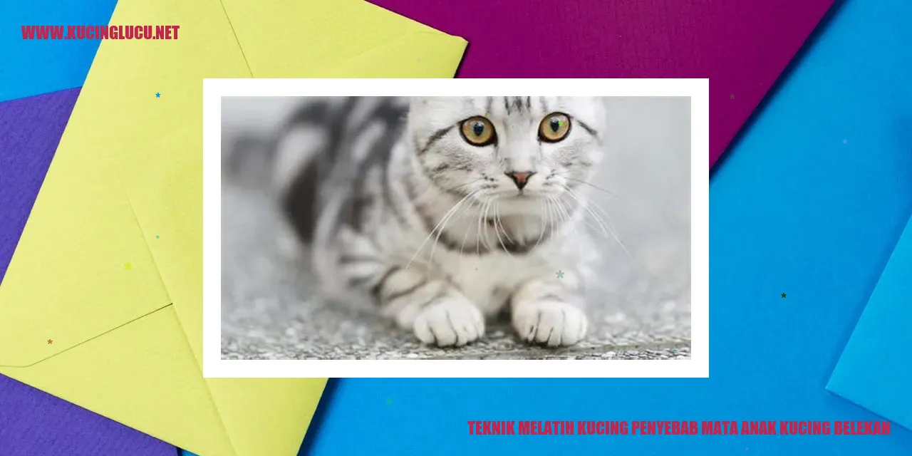 Gambar Kucing Belekan