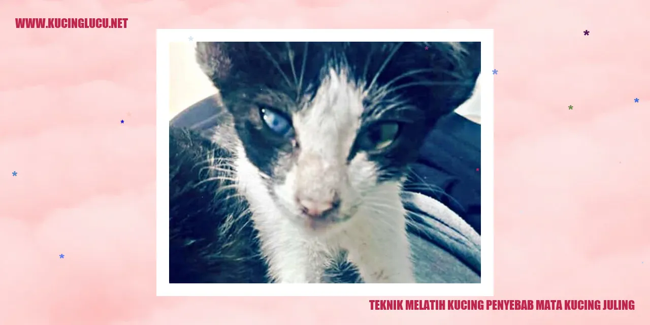 Kucing dengan mata juling