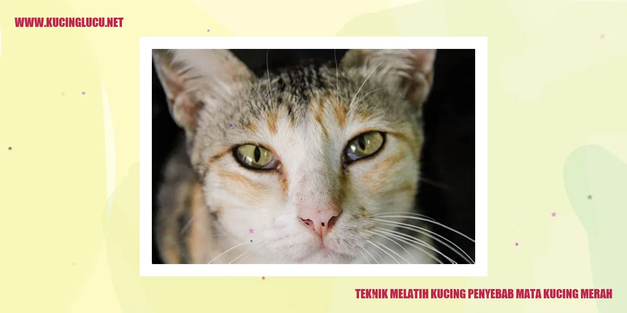 Gambar Kucing dengan Mata Merah