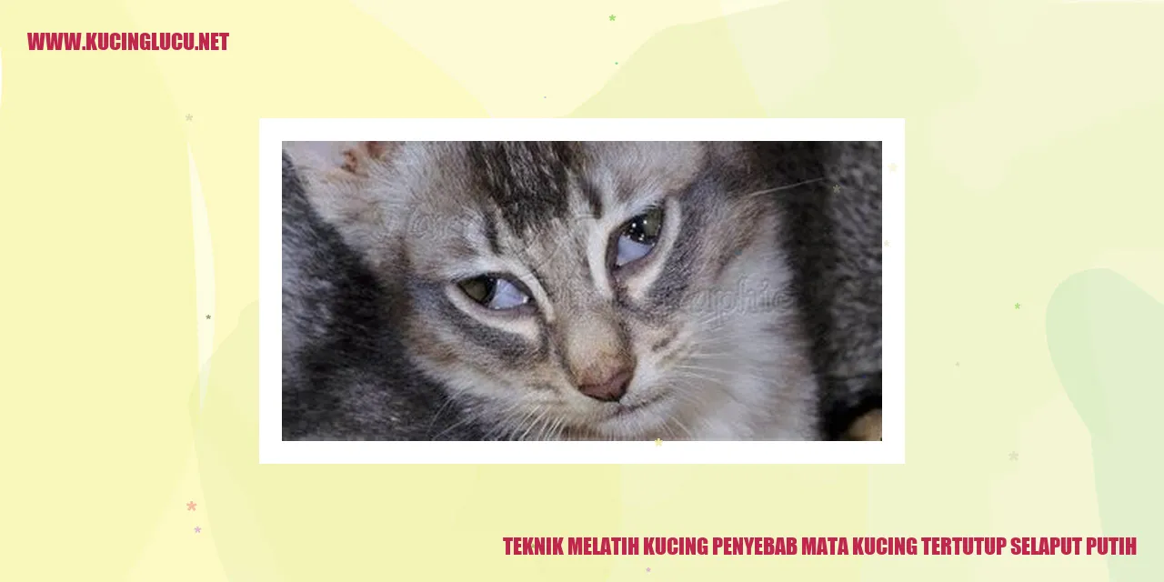 Mata Kucing yang Tertutup Selaput Putih