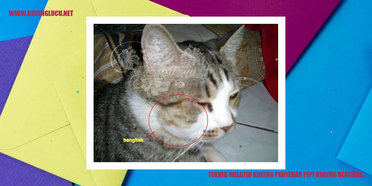 Gambar kucing