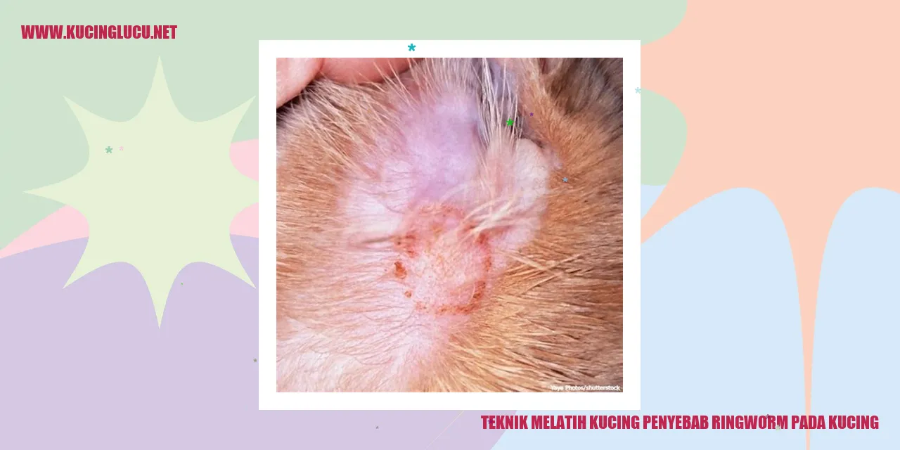 Kucing yang menggemaskan