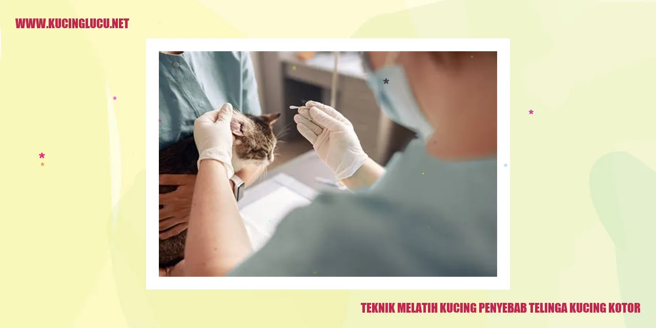 Gambar Kucing dengan Telinga Kotor