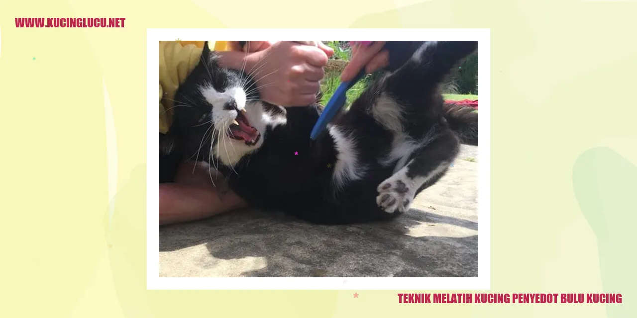Kucing penyedot bulu kucing