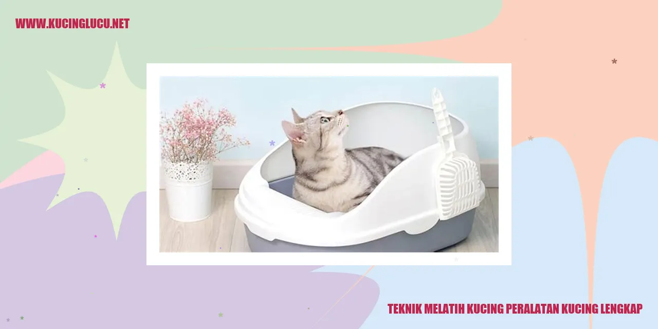 Gambar kucing sedang dilatih