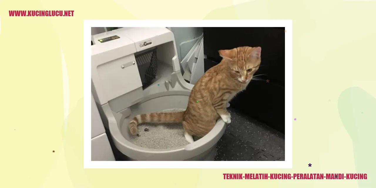 Gambar kucing