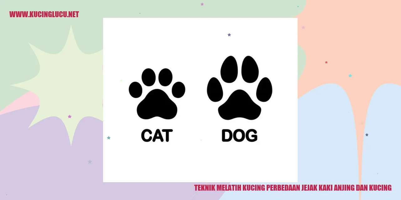Perbedaan Jejak Kaki Anjing dan Kucing