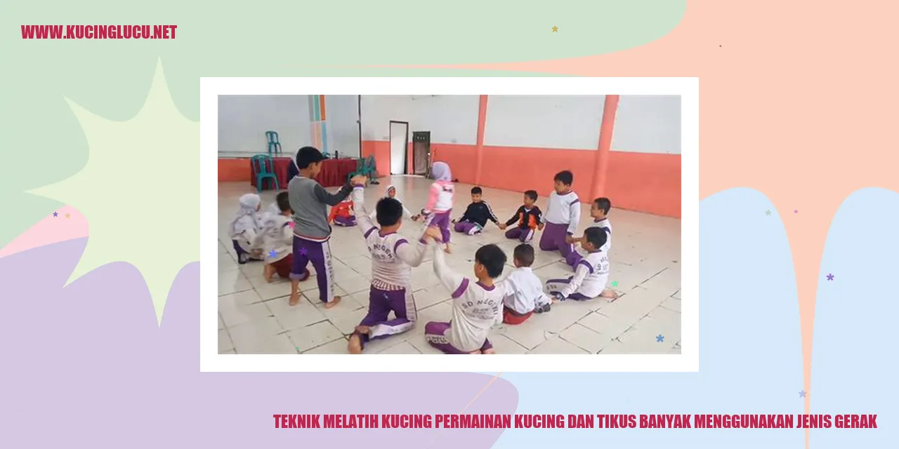 Gambar Melatih Kucing Bermain