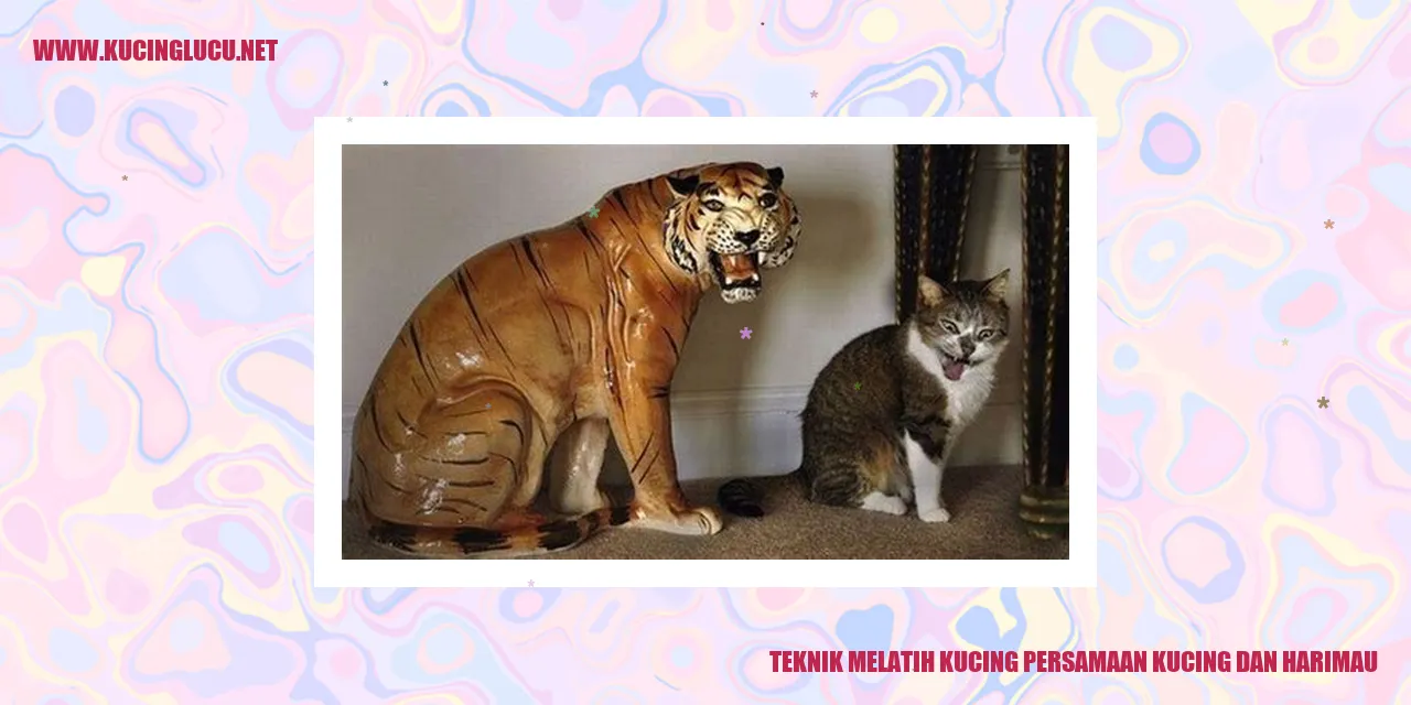 Kucing persamaan kucing dan harimau