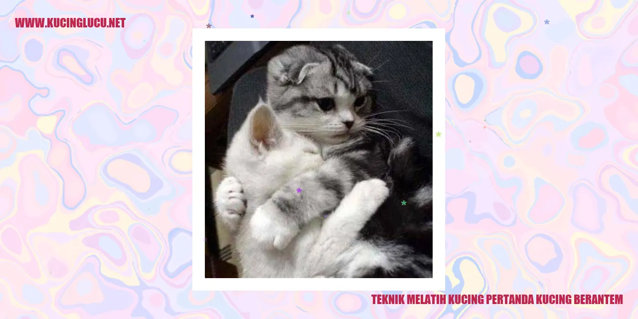 Gambar Kucing Berantem