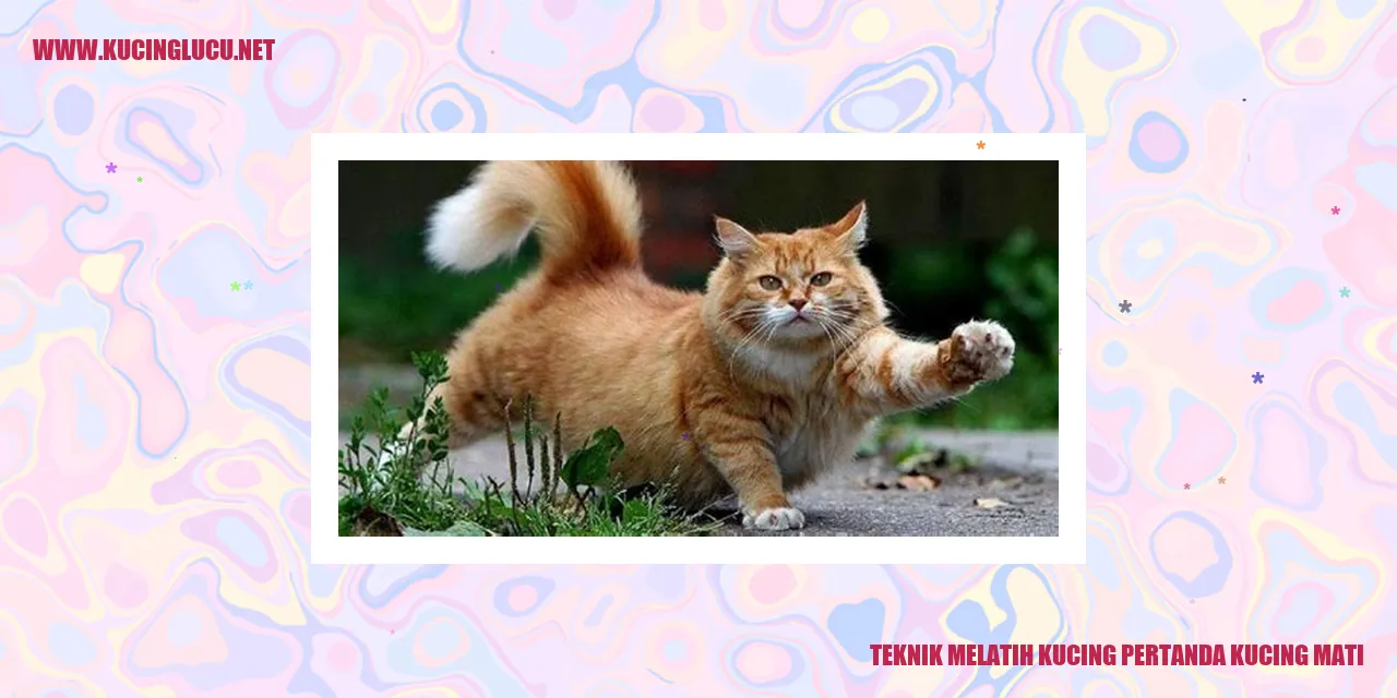 Teknik Melatih Kucing pertanda kucing mati