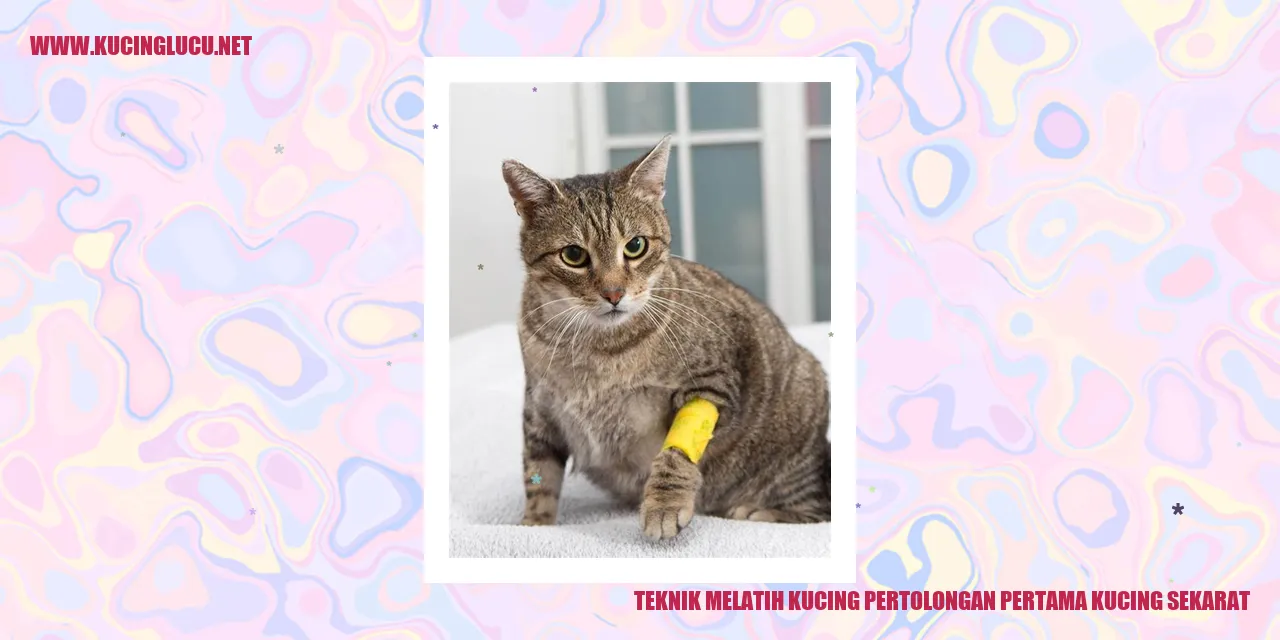 Kucing sekarat