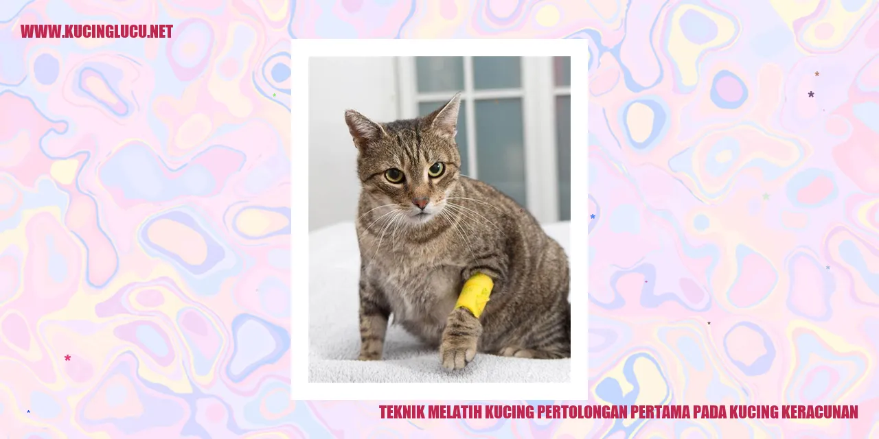 Teknik Melatih Kucing pertolongan pertama pada kucing keracunan