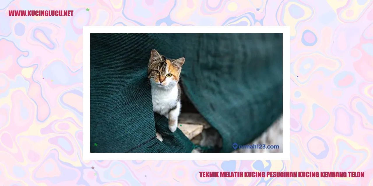 Gambar Kucing Kembang Telon
