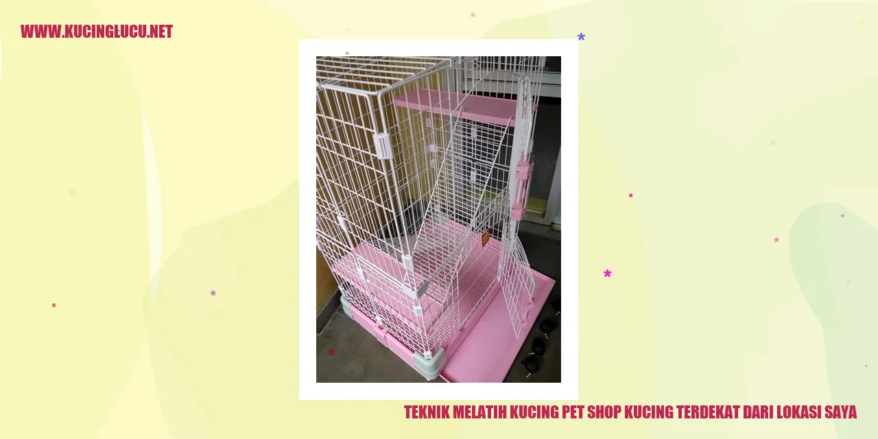 Teknik Melatih Kucing