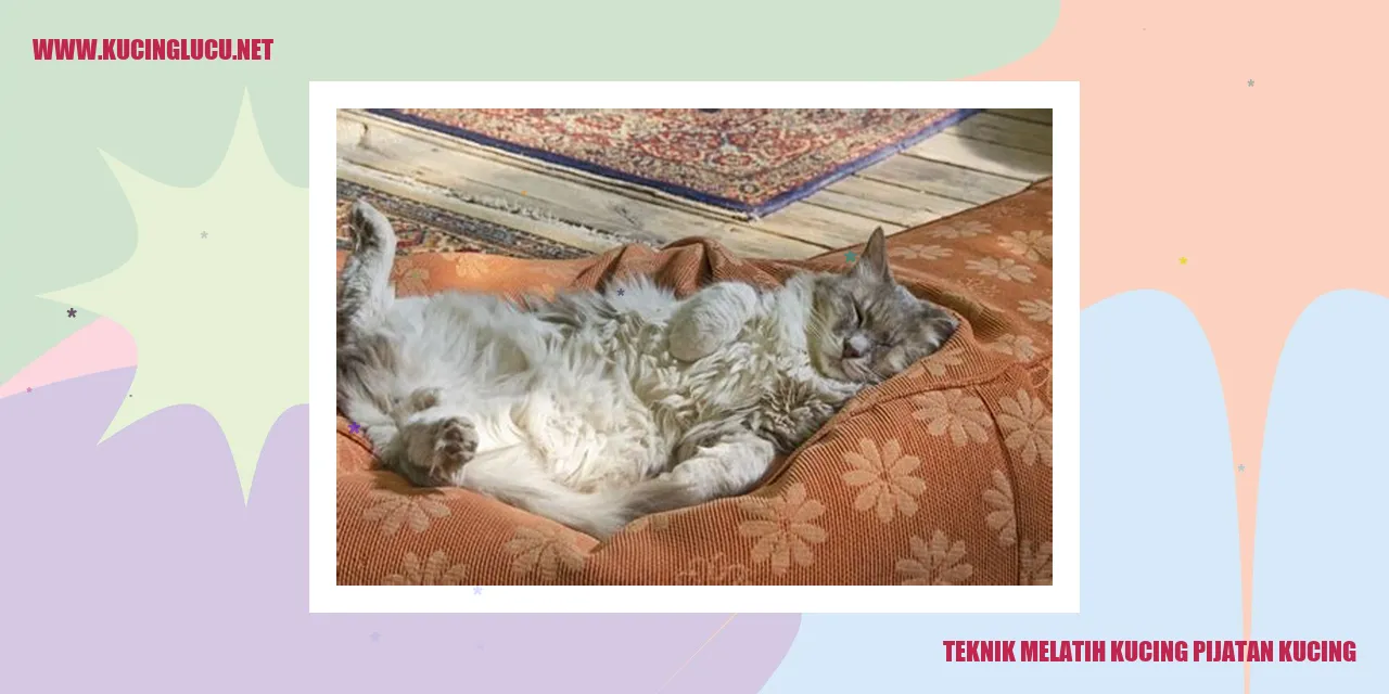 Gambar kucing