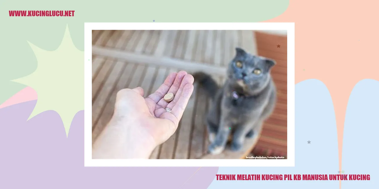 Kucing Pil KB