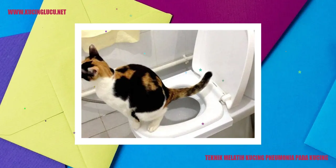 Gambar seekor kucing sedang menjalani latihan untuk pneumonia
