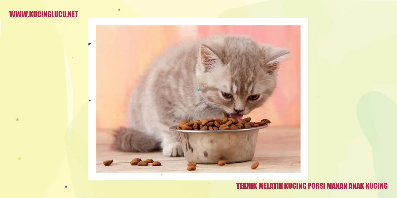 Anak Kucing Makan